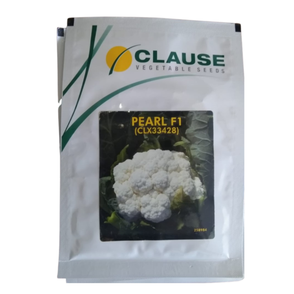 Cauliflower Seed-Image