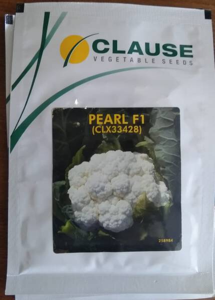 Cauliflower Seed - Clause