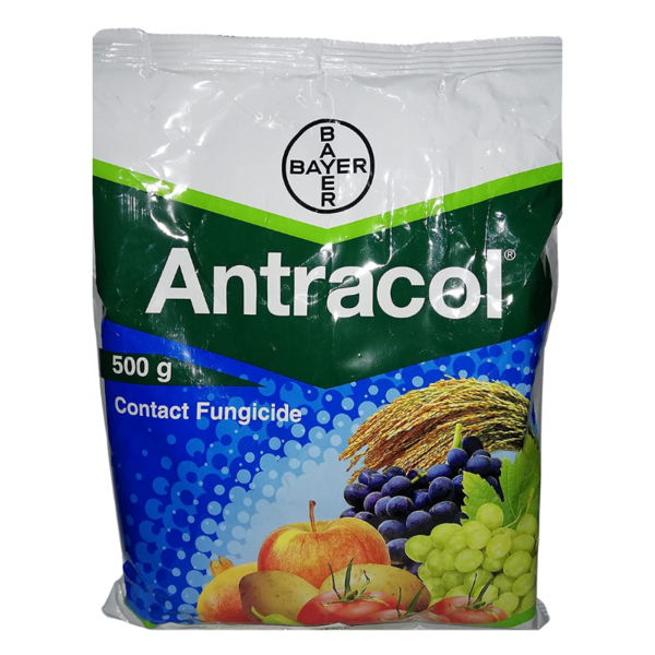 Antracol Image