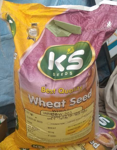 Wheat Seeds - KS