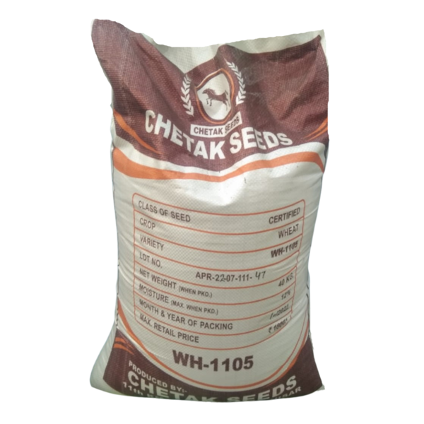 Wheat Seeds - Chetak Seeds