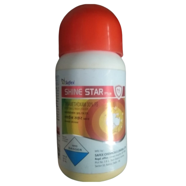 Shine Star - Safex