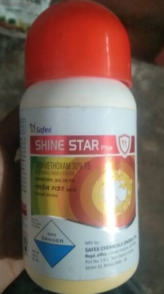 Shine Star - Safex