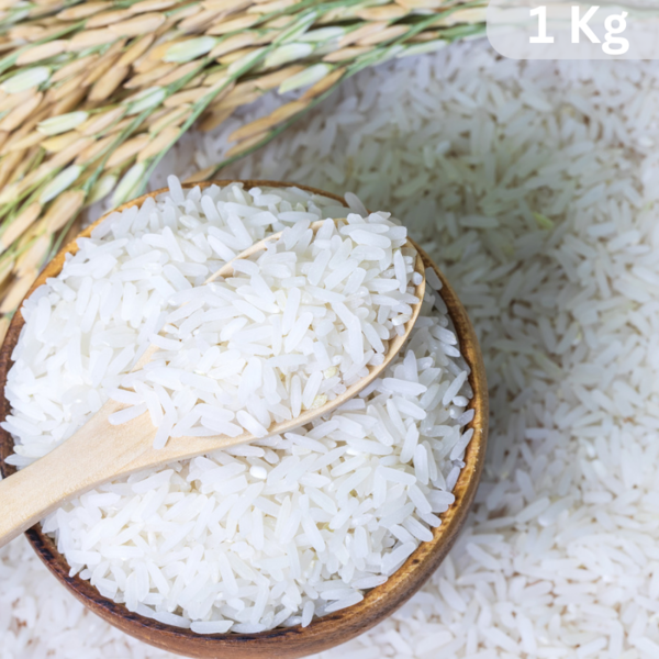 Rice - Generic