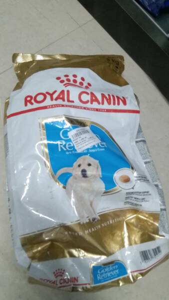Dog Food - Royal Canin