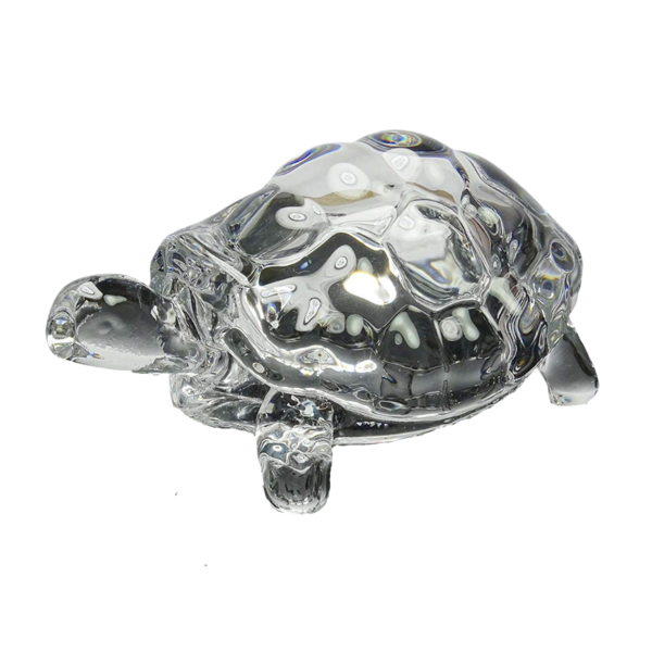 Glass Turtle - Smartdecor