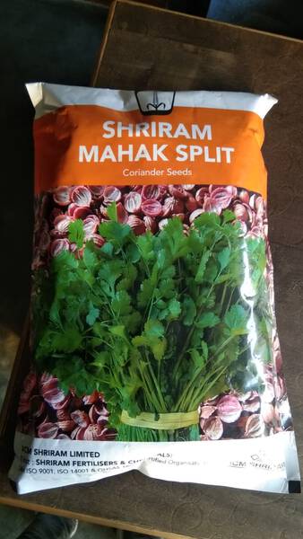 Coriander Seeds - Shriram Seeds