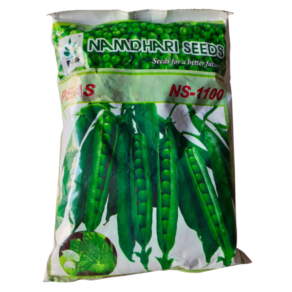 Peas seeds Image