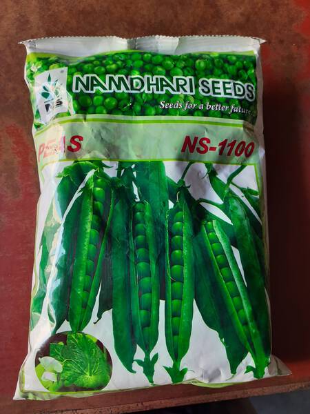 Peas seeds image 2