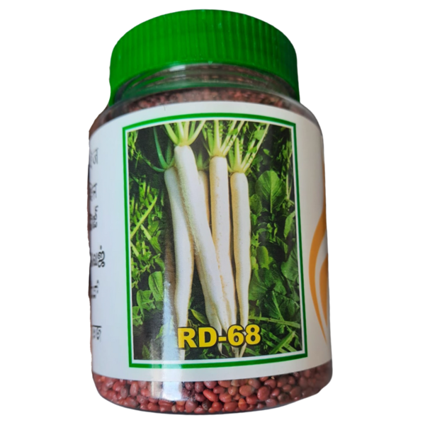 Radish Seed Image