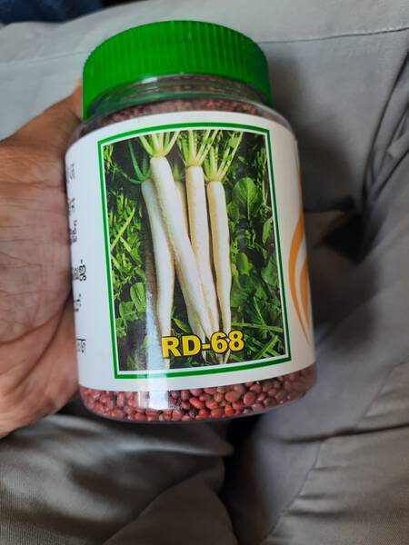 Radish Seed image 2