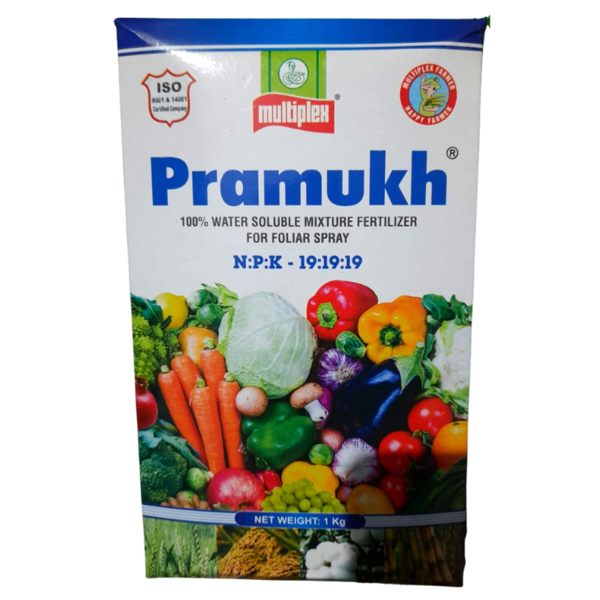 Pramukh Image