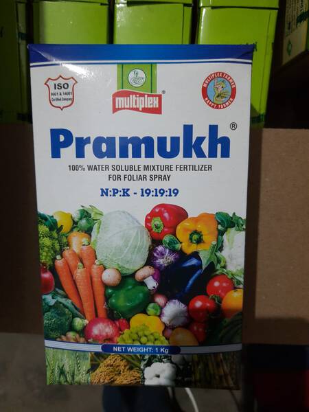 Pramukh image 2