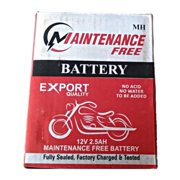 Bike Battery - Maintenance Free