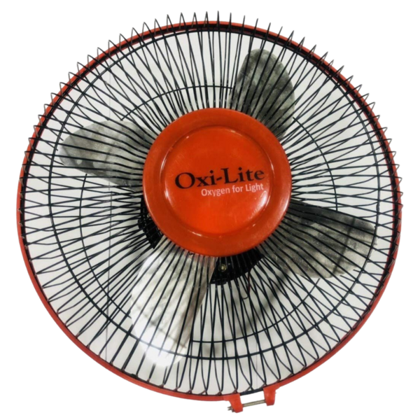 Coach Fan-Image