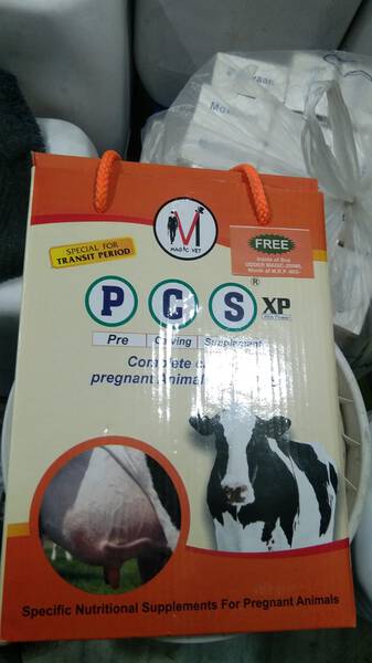 PCS XP - Magic Vet
