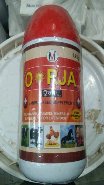 Feed Supplement - Magic Vet