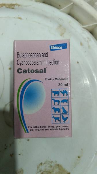 Catosal Veterinary Injection - Elanco