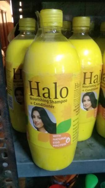 Shampoo - Halo