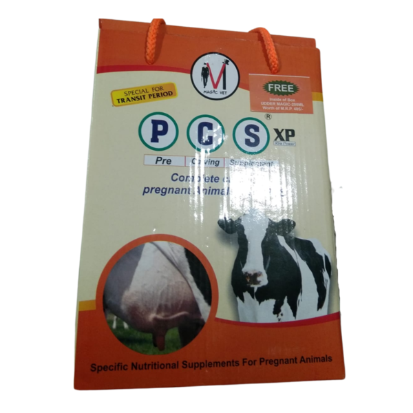 PCS XP - Magic Vet