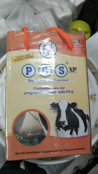 PCS XP - Magic Vet