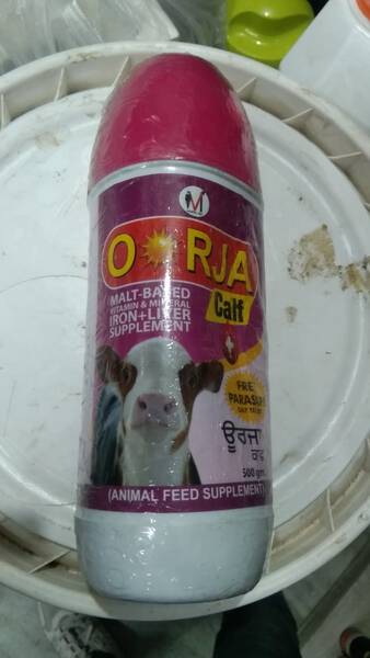Feed Supplement - Magic Vet