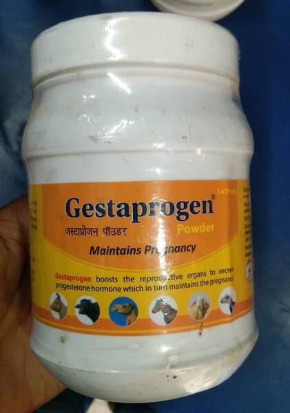 Gestaprogen Powder - Animax Pharma