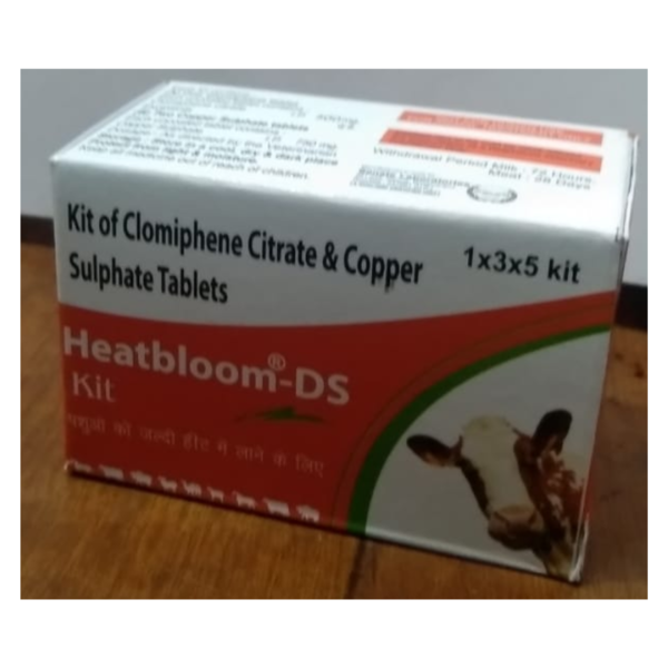Heatbloom-DS Kit - BTL Biosciences