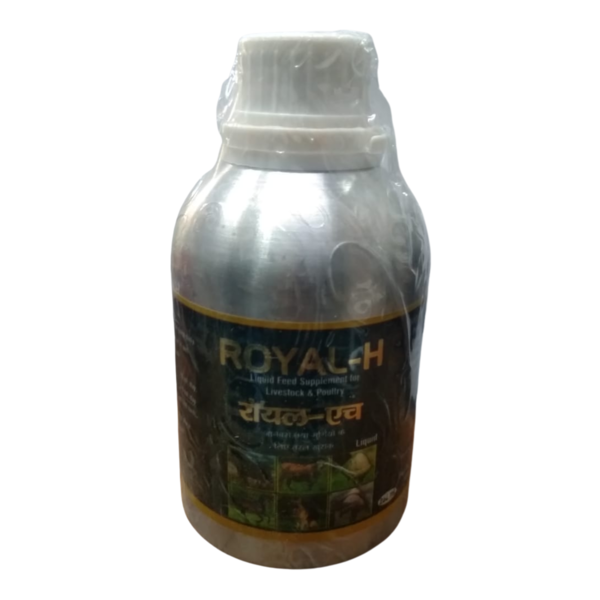 Royal-H-Image