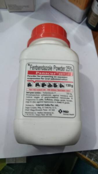 Panacur Fenbendazole Powder - MSD Animal Health