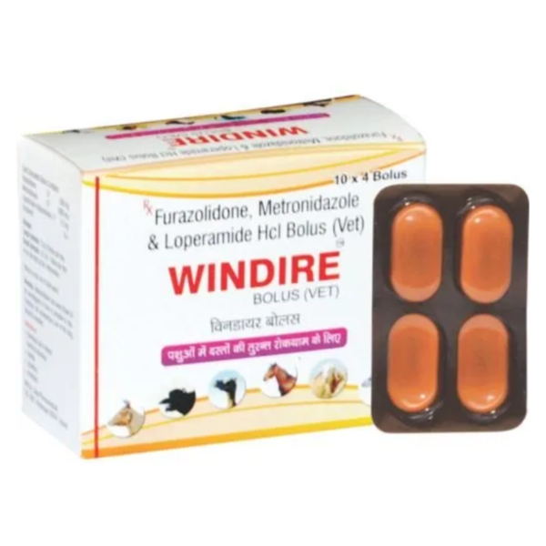 Windire Bolus-Image