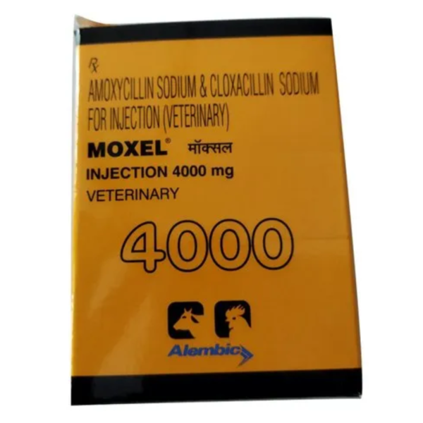 Moxel 4000 Injection-Image