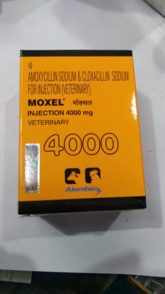 Moxel 4000 Injection - Alembic