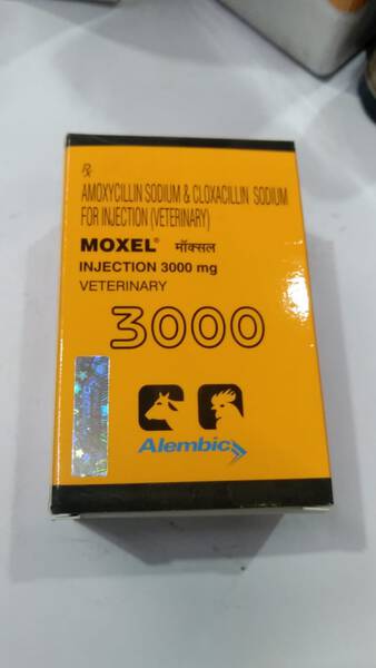 Moxel 3000 Injection - Alembic