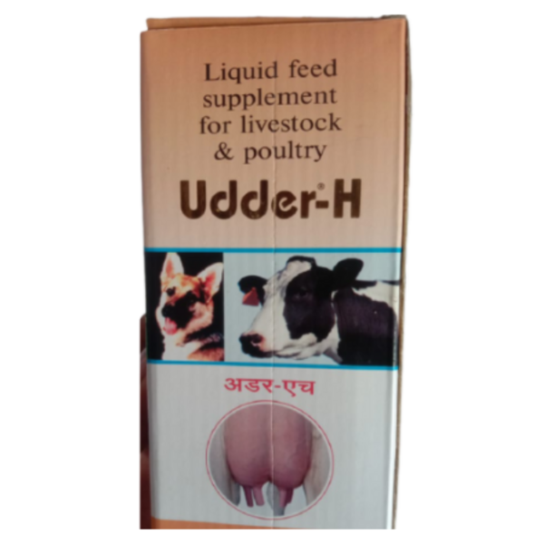 Udder-H-Image