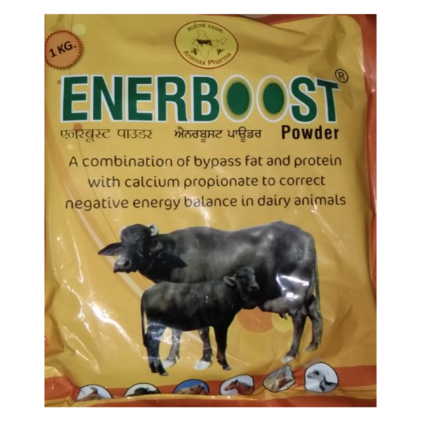 Enerboost-Image