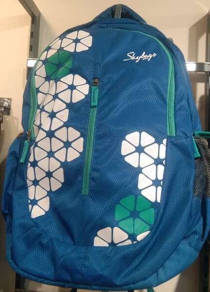 Back Pack - Skybags