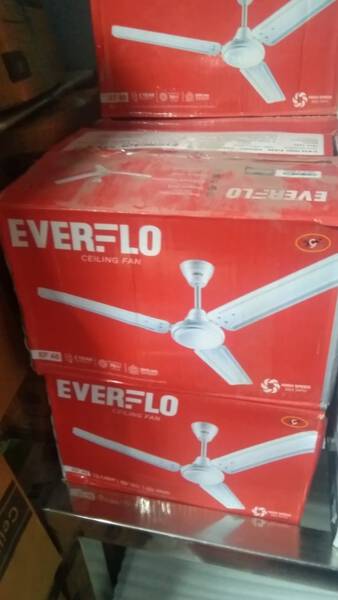 Ceiling Fan - Everflo