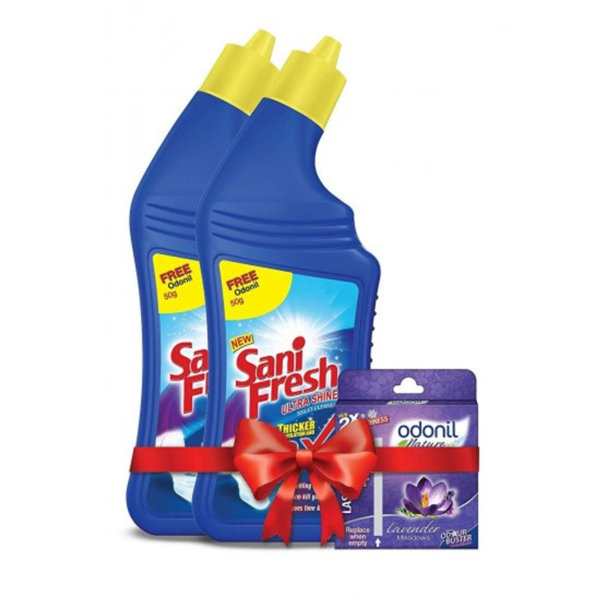 Toilet Cleaner - Sani Fresh