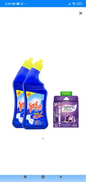 Toilet Cleaner - Sani Fresh