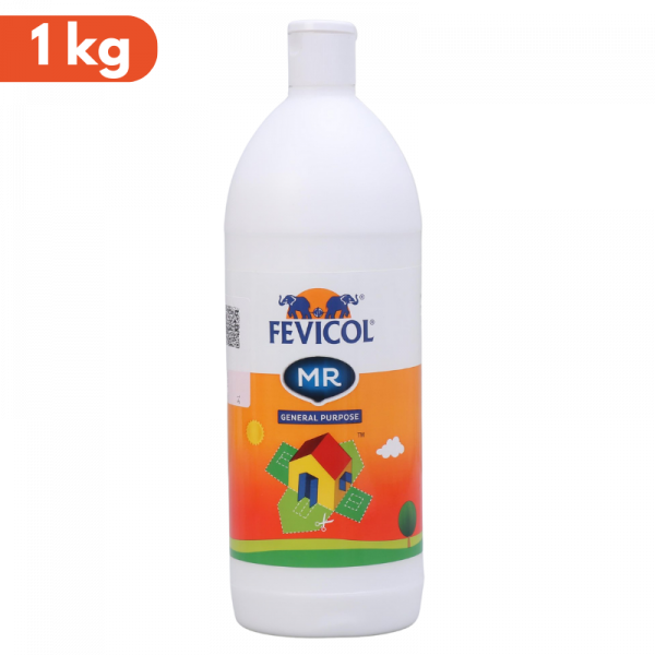 Glue - Fevicol