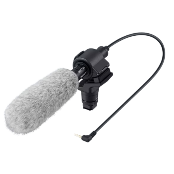 Microphone Image
