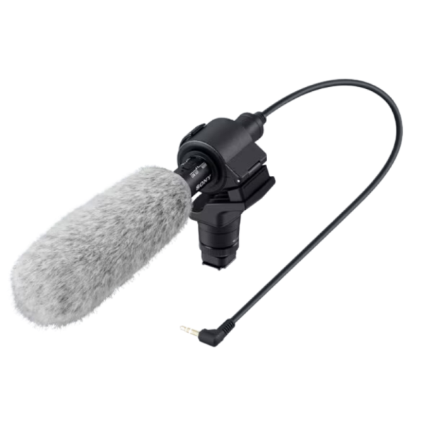 Microphone - Sony