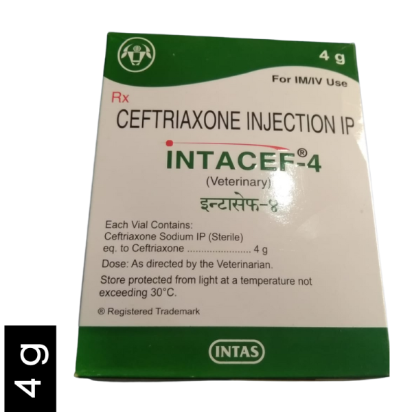 Intacef-4-Image