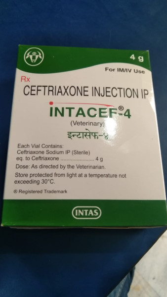 Intacef-4 - Intas Pharmaceuticals Ltd