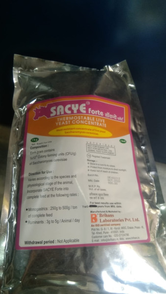 Sacye Forte - Brihans