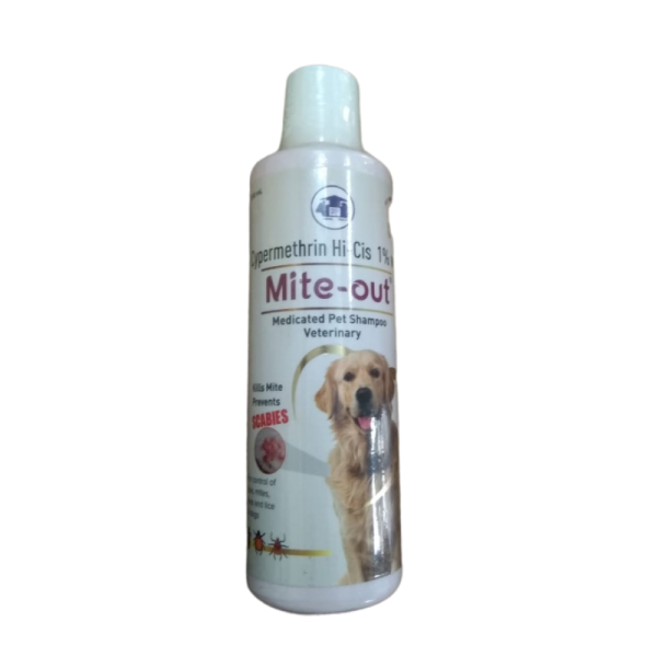 Out of dog hot sale shampoo