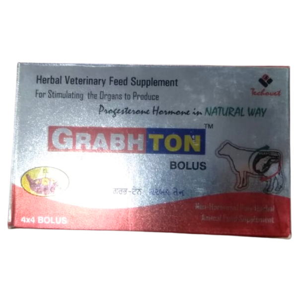 Grabhton Bolus - Techovet