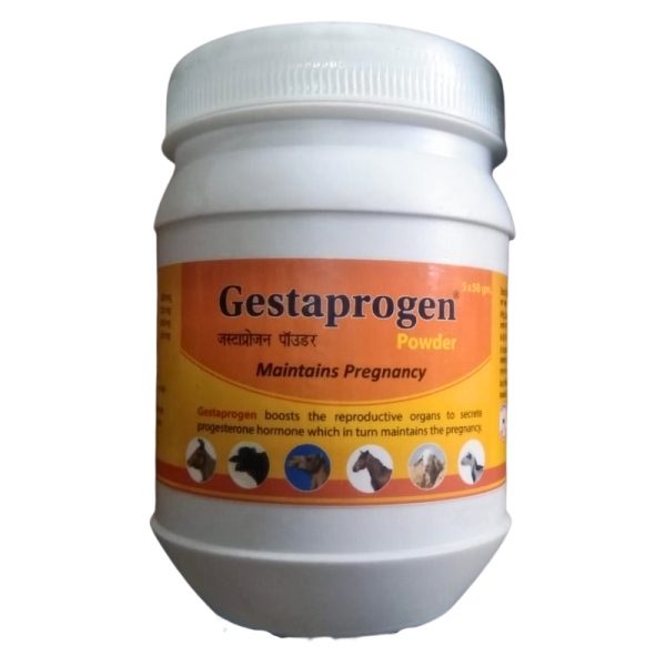 Gestaprogen Powder - Animax Pharma