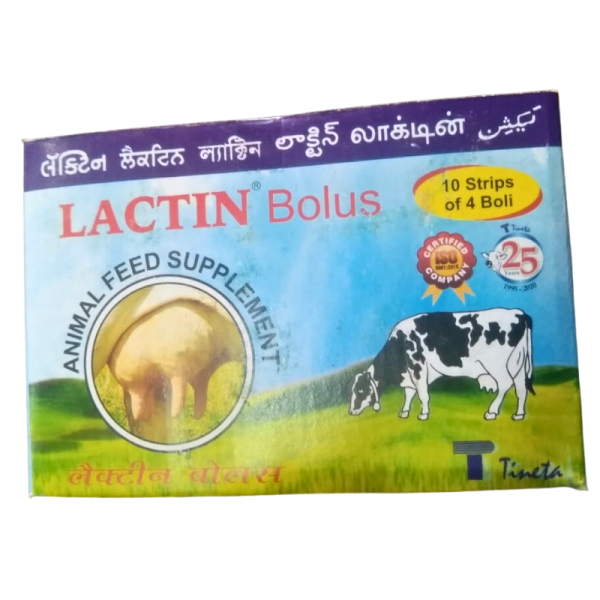 Lactin Bolus - Tineta